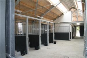 paardenstands